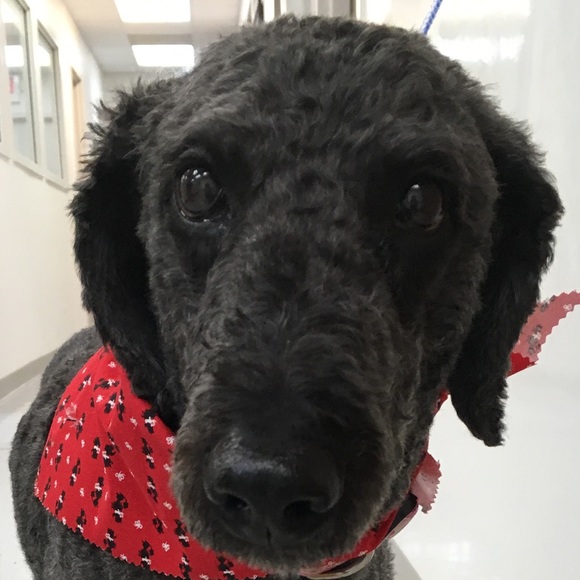 Meet your Posher, Jody - Picture 1 of 1